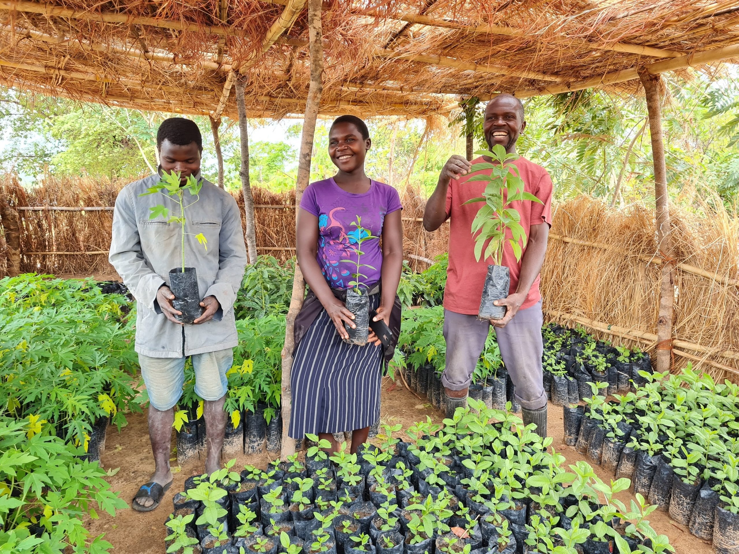 ripple-africa-4-scaled.jpg?w=1024&h=768&scale