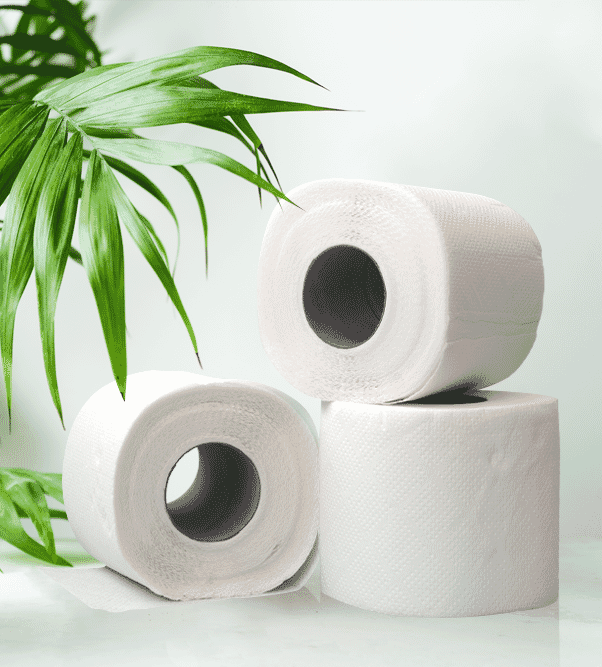 toilet-tissue