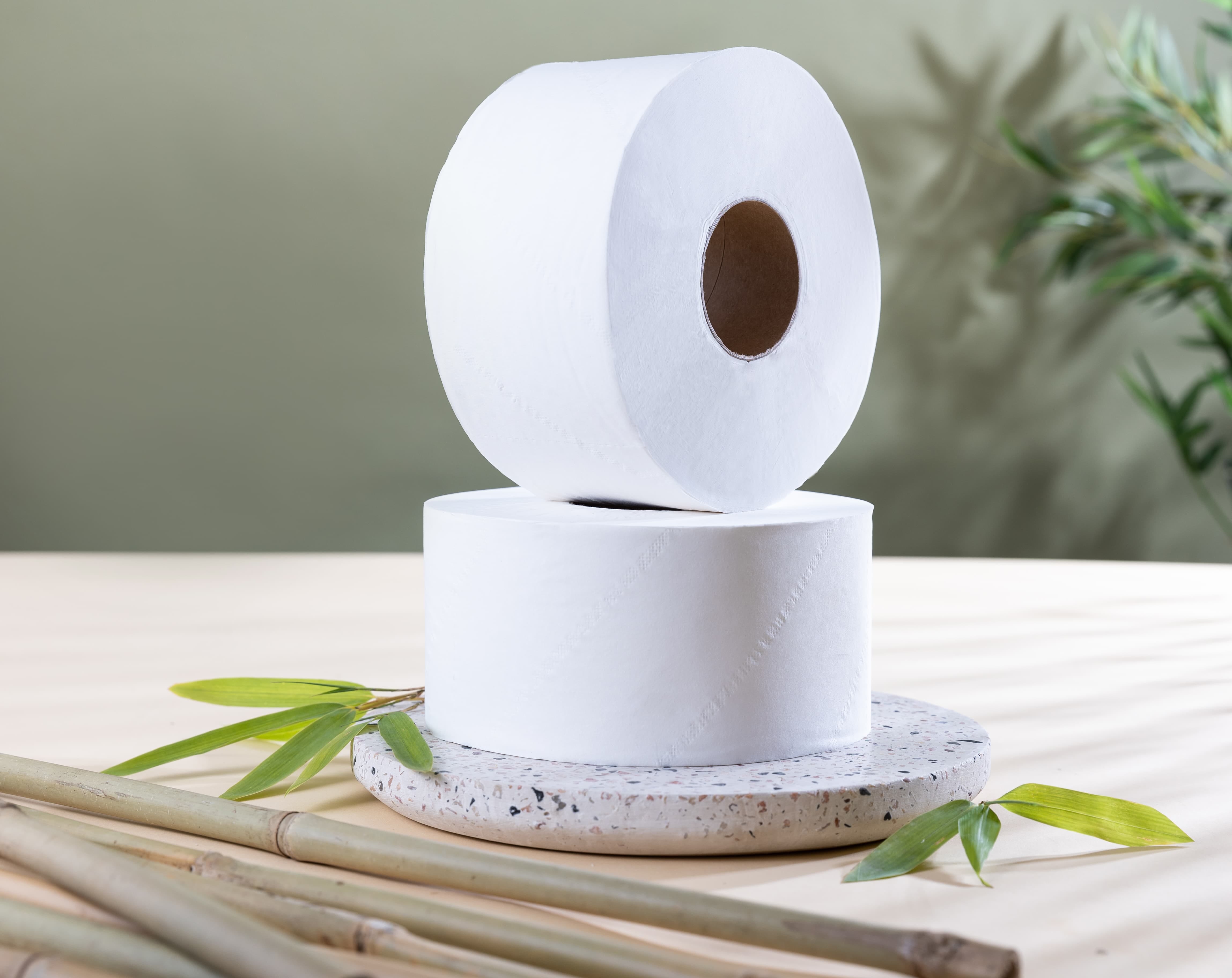 sugarcane-mini-jumbo-toilet-rolls-lifestyle-1.jpg?w=1024&h=813&scale